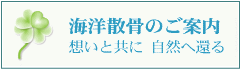 海洋散骨のご案内 | 想いと共に 自然へ還る
